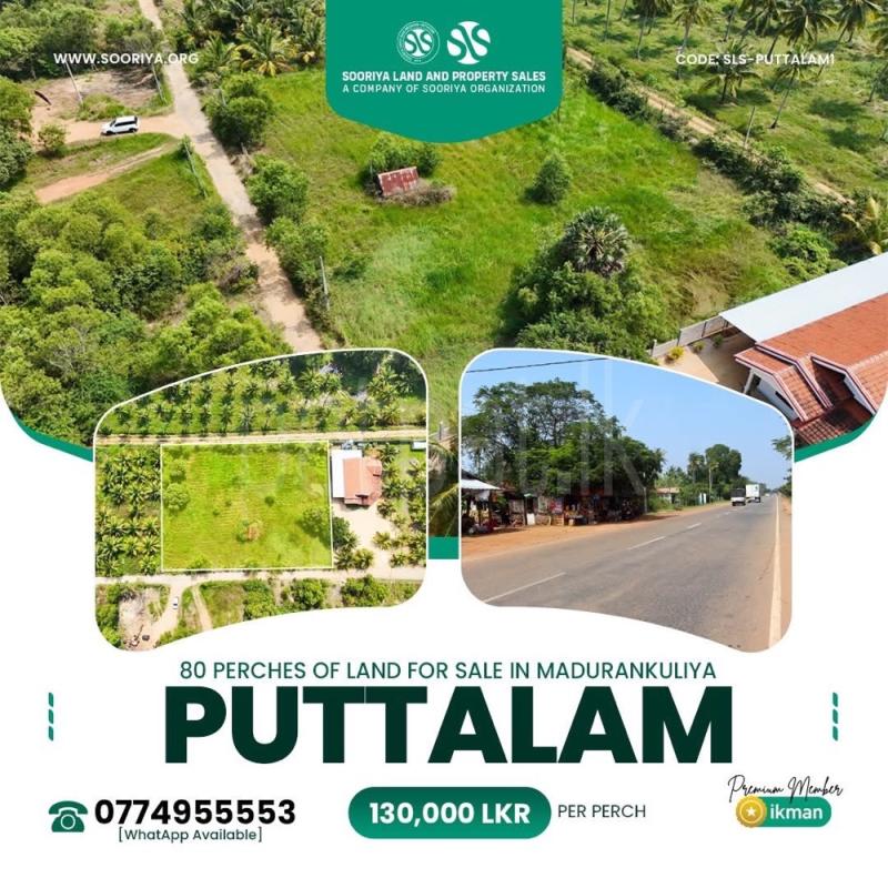 Commercial Land for Sale in Puttalam
