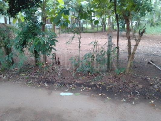 Residential Land for Sale in Seeduwa
