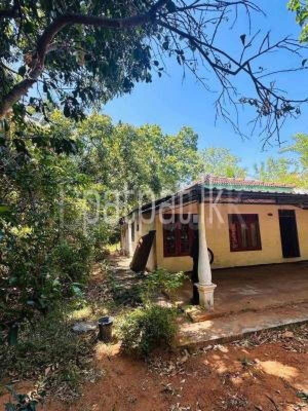 House for Sale in Kataragama