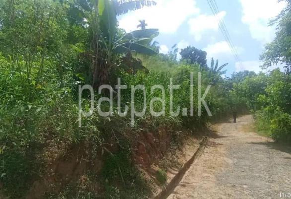 premium-listing-image