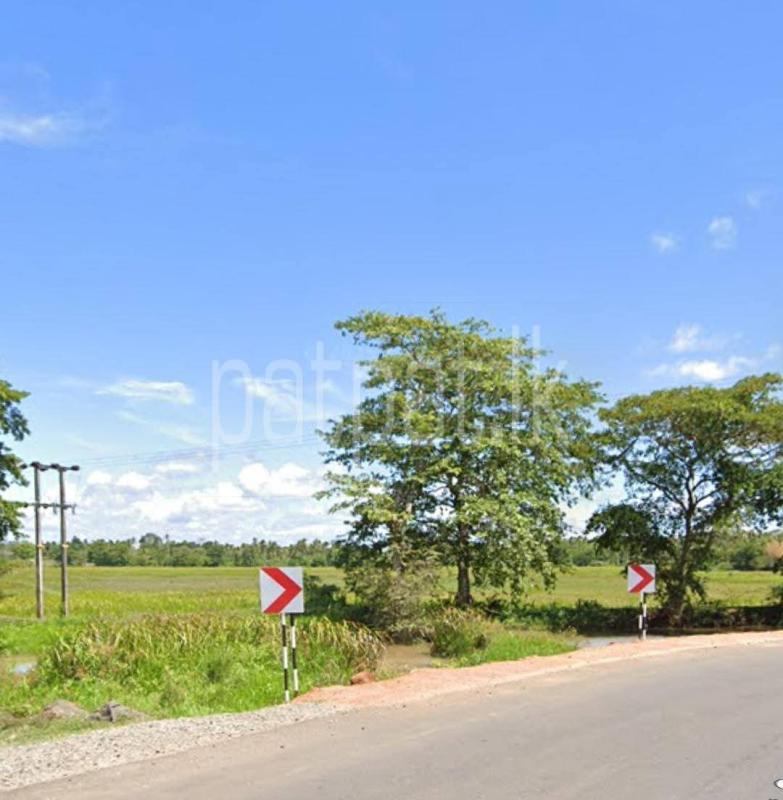 Agricultural Land for Sale in Tangalla