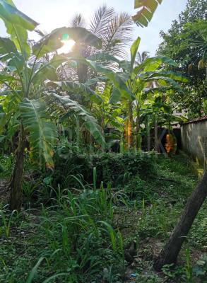 Residential Land for Sale in Yakkala