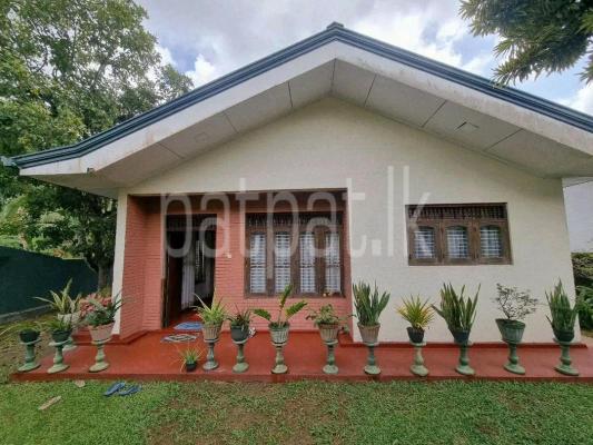 premium-listing-image