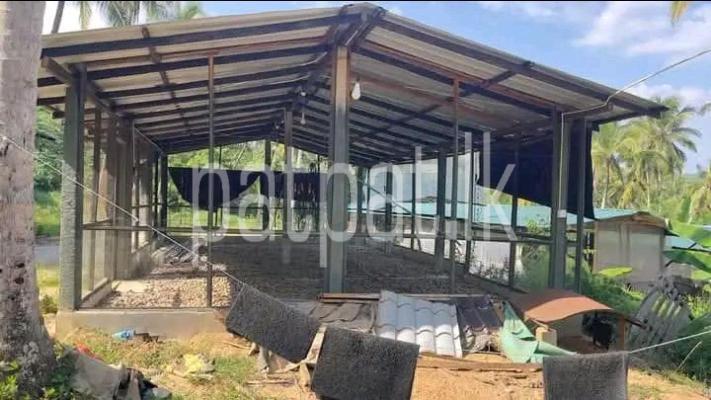 premium-listing-image