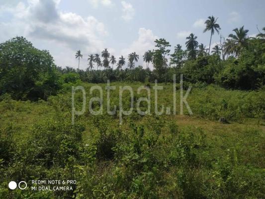 Residential Land for Sale in Weeraketiya