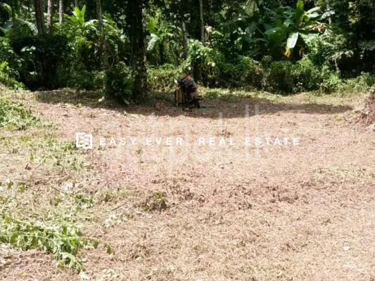 Commercial Land for Sale in Minuwangoda