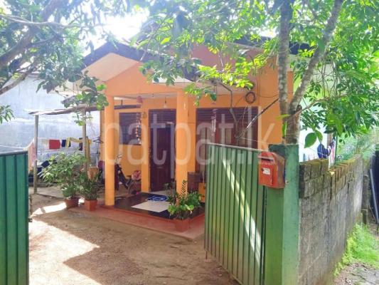 premium-listing-image