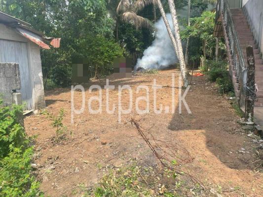 premium-listing-image