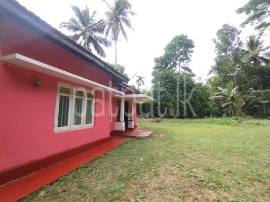 premium-listing-image