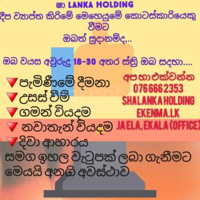 Online කරණයේ විවිධ රැකියා අවස්ථා