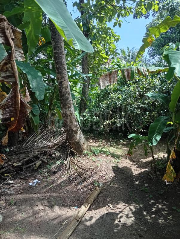 Residential Land for Sale in Panadura