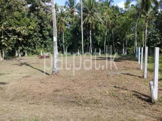 premium-listing-image