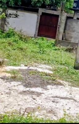 premium-listing-image