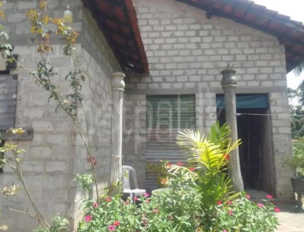 House for Sale in Negombo
