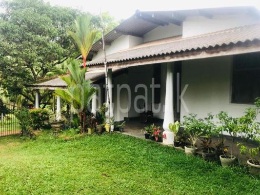 premium-listing-image