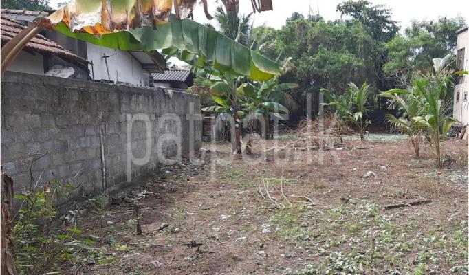 Commercial Land for Sale in Moratuwa
