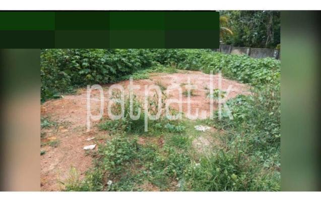 premium-listing-image