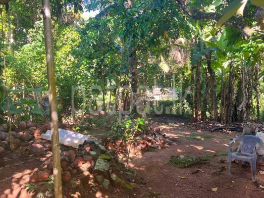 premium-listing-image