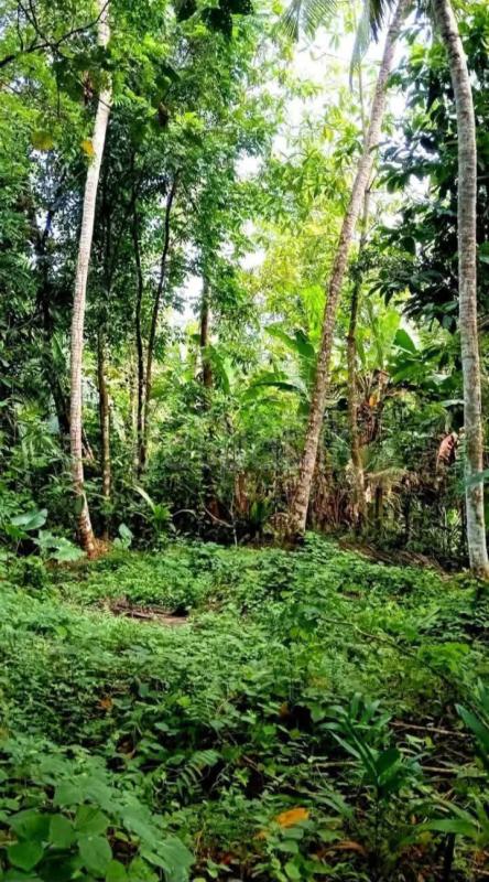 Residential Land for Sale in Horana