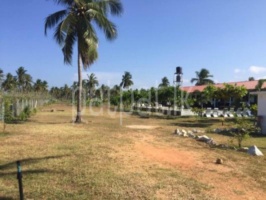 premium-listing-image