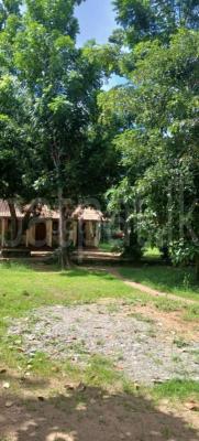 Commercial Land for Sale in Kataragama