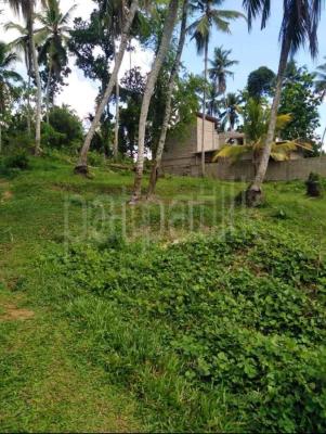 premium-listing-image