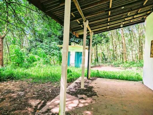 premium-listing-image