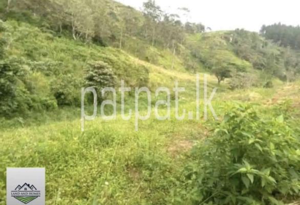Agricultural Land for Sale in Kundasale