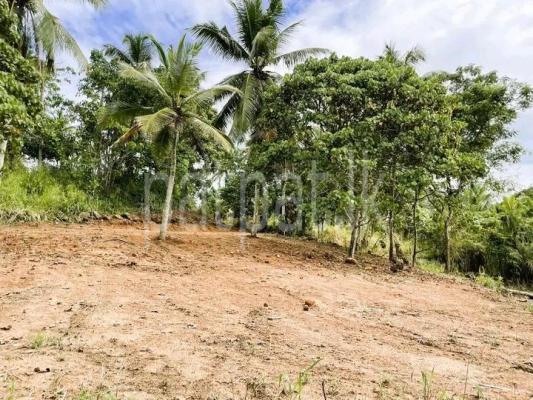 premium-listing-image