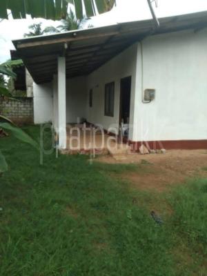 premium-listing-image