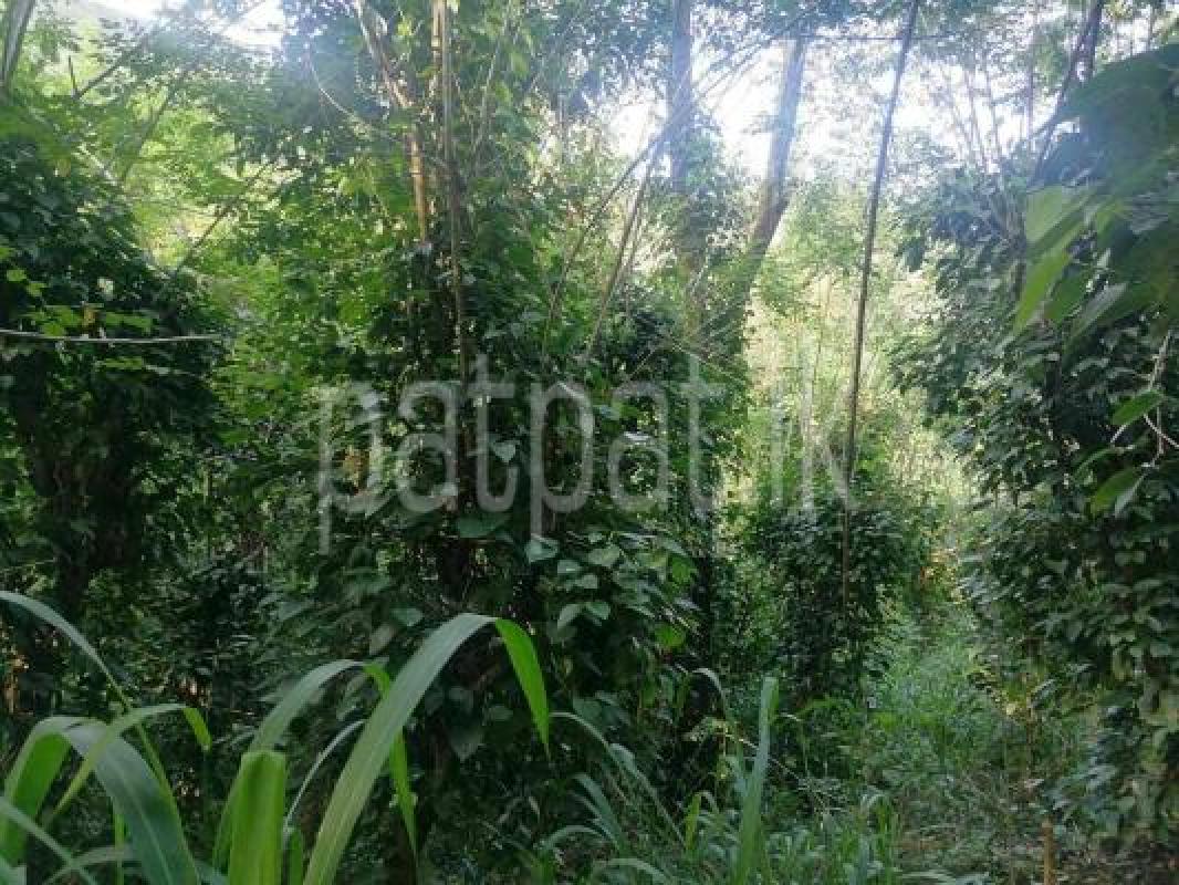 Agricultural Land for Sale in Ududumbara