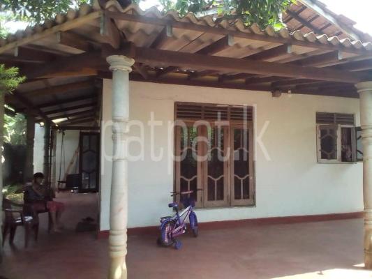 premium-listing-image