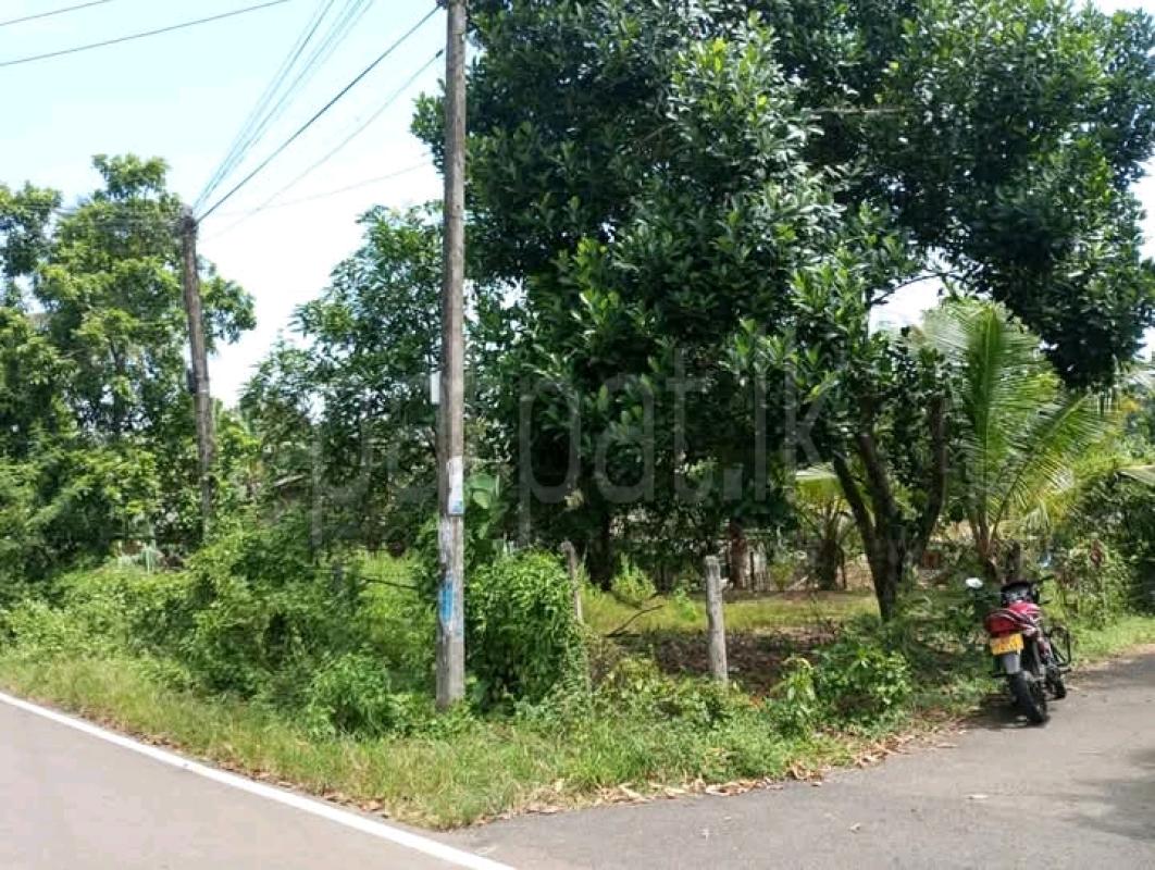 Commercial Land for Sale in Kalutara