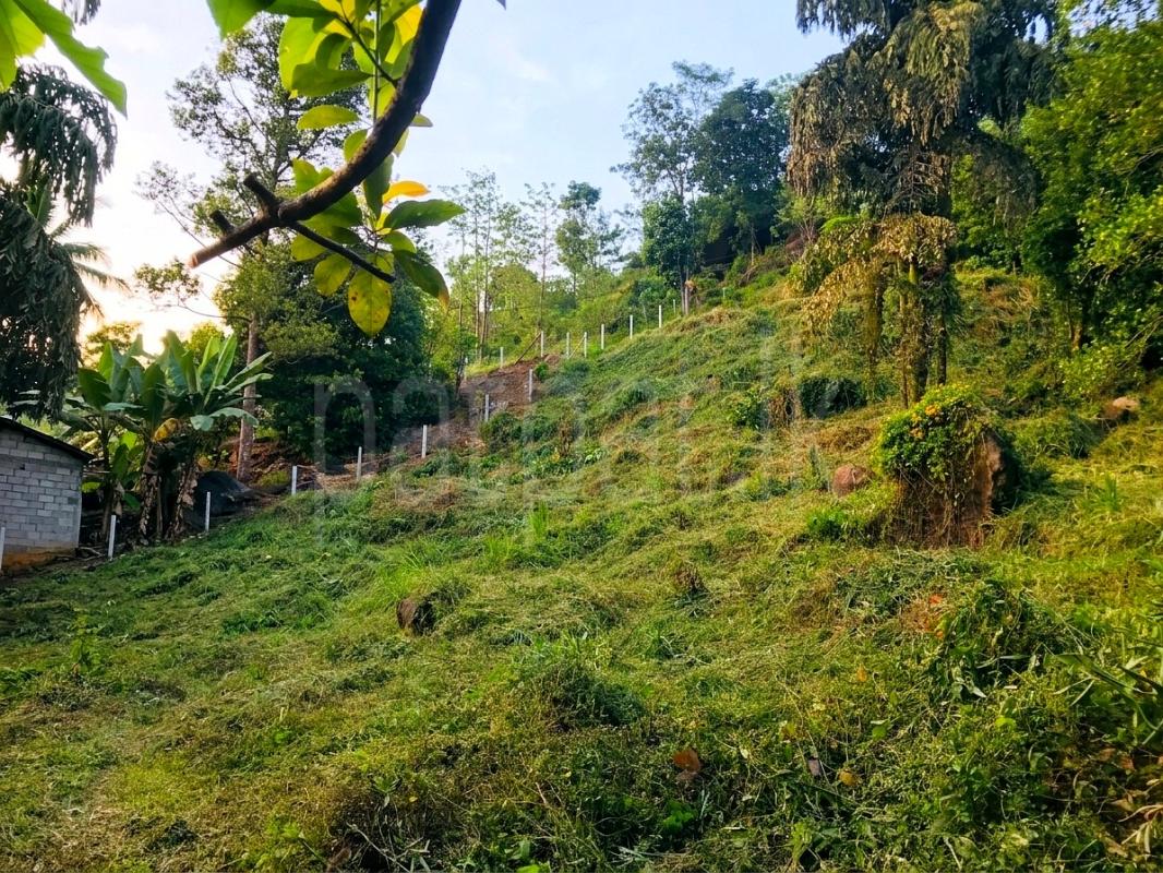 Commercial Land for Sale in Kitulgala