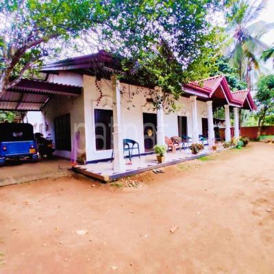 premium-listing-image