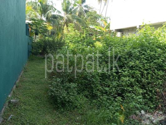 premium-listing-image