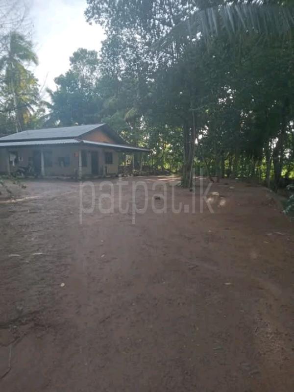 Residential Land for Sale in Beliatta