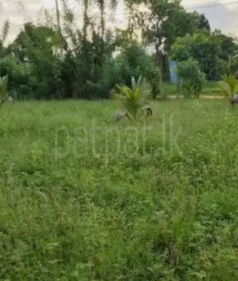 Agricultural Land for Sale in Galnewa