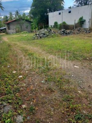 premium-listing-image