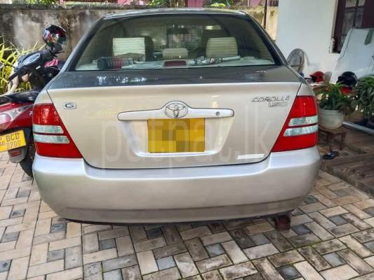 premium-listing-image