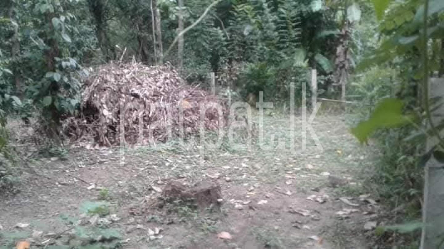 Agricultural Land for Sale in Menikhinna