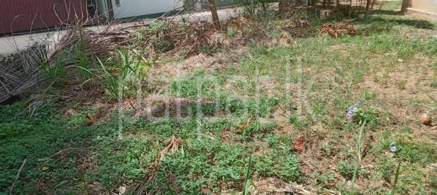 premium-listing-image