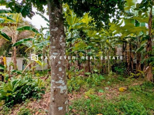 Residential Land for Sale in Kirindiwela