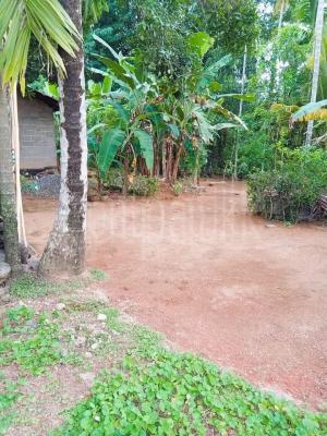 premium-listing-image