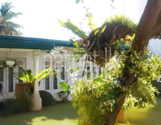 Residential Land for Sale in Miriswatta
