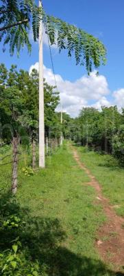 Residential Land for Sale in Kataragama