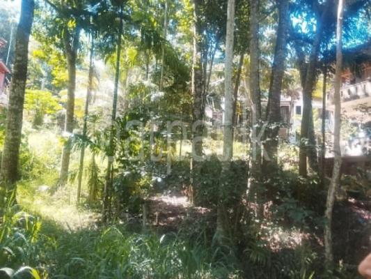 Agricultural Land for Sale in Pilimatalawa