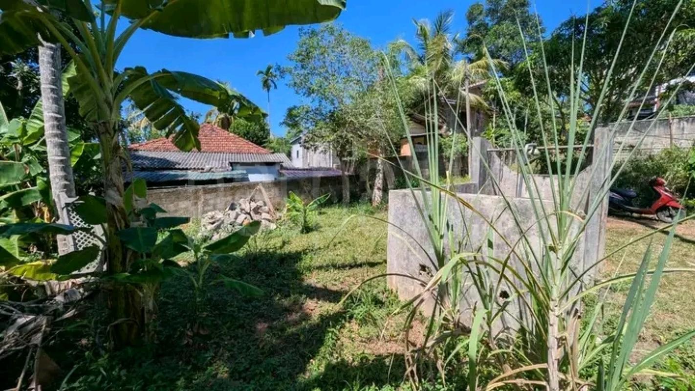 Commercial Land for Sale in Ragama