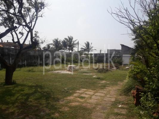 premium-listing-image