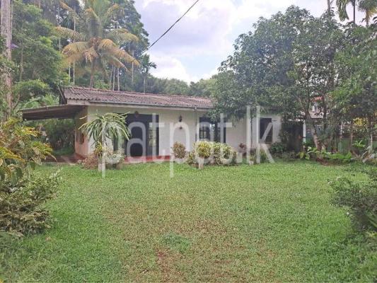 premium-listing-image